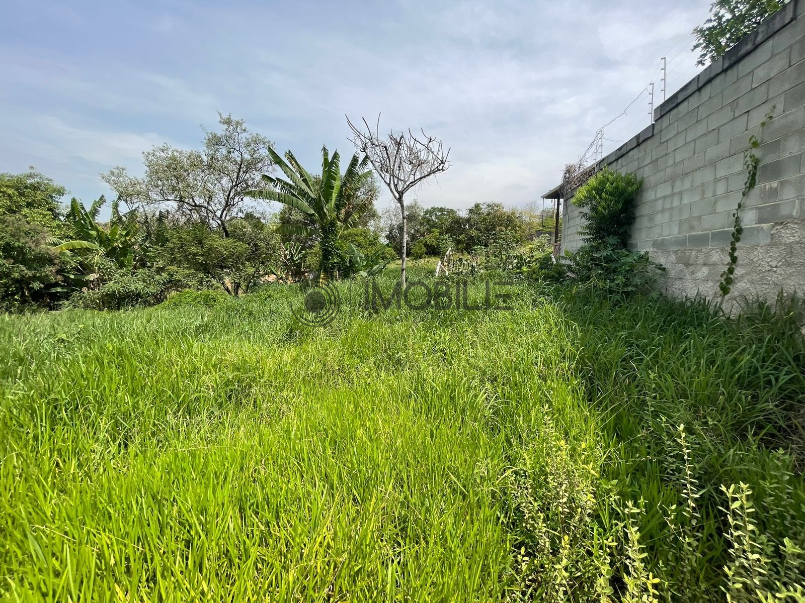 Terreno à venda, 1000m² - Foto 2