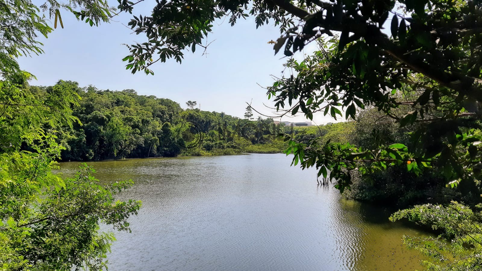 Terreno à venda, 394m² - Foto 30