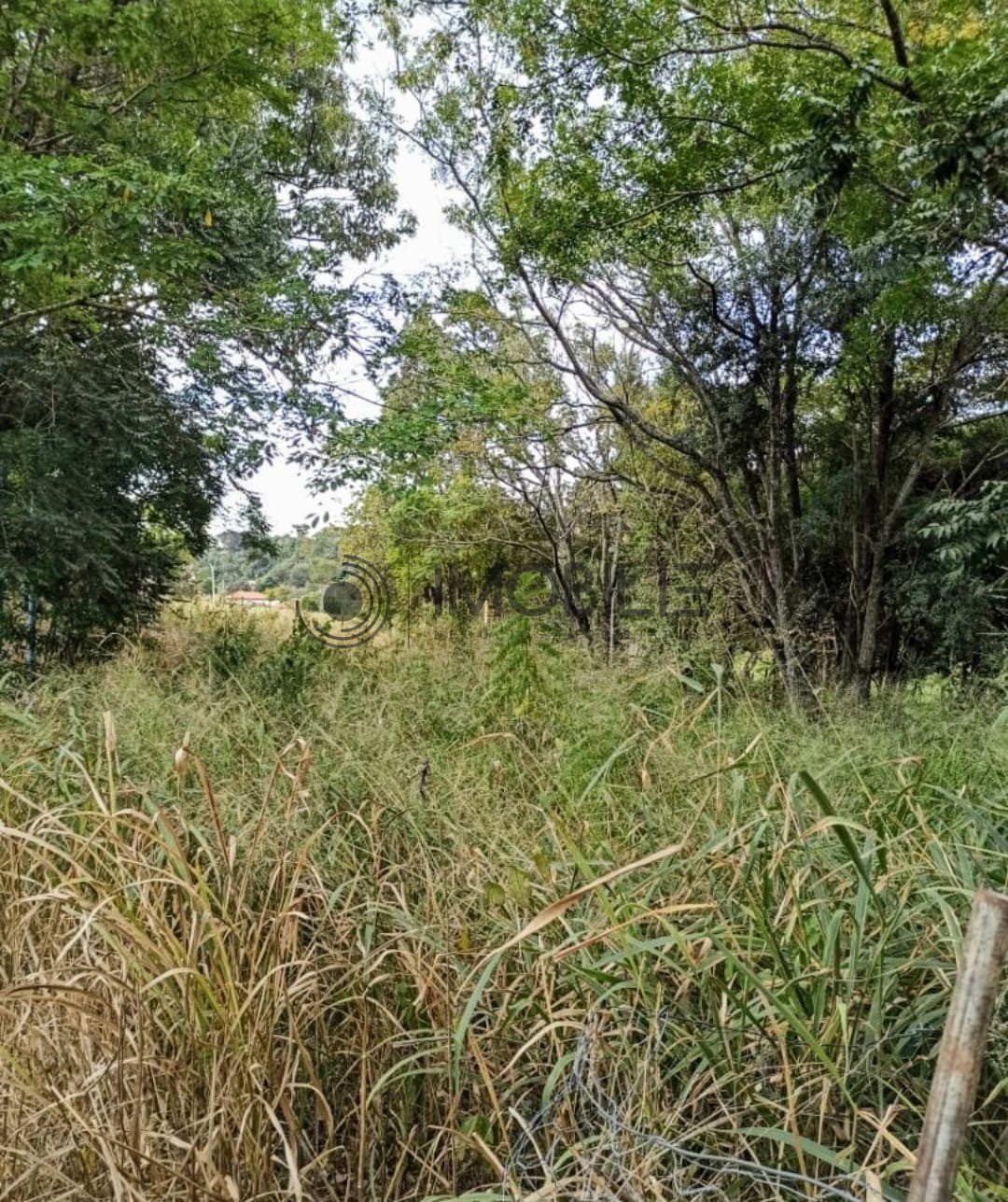 Terreno à venda, 1000m² - Foto 2