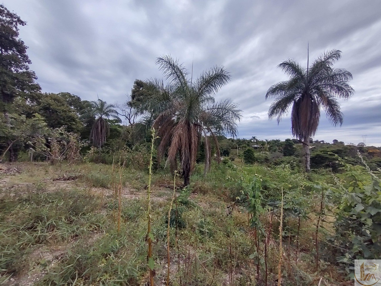 ÁREA DE 7.700 METROS