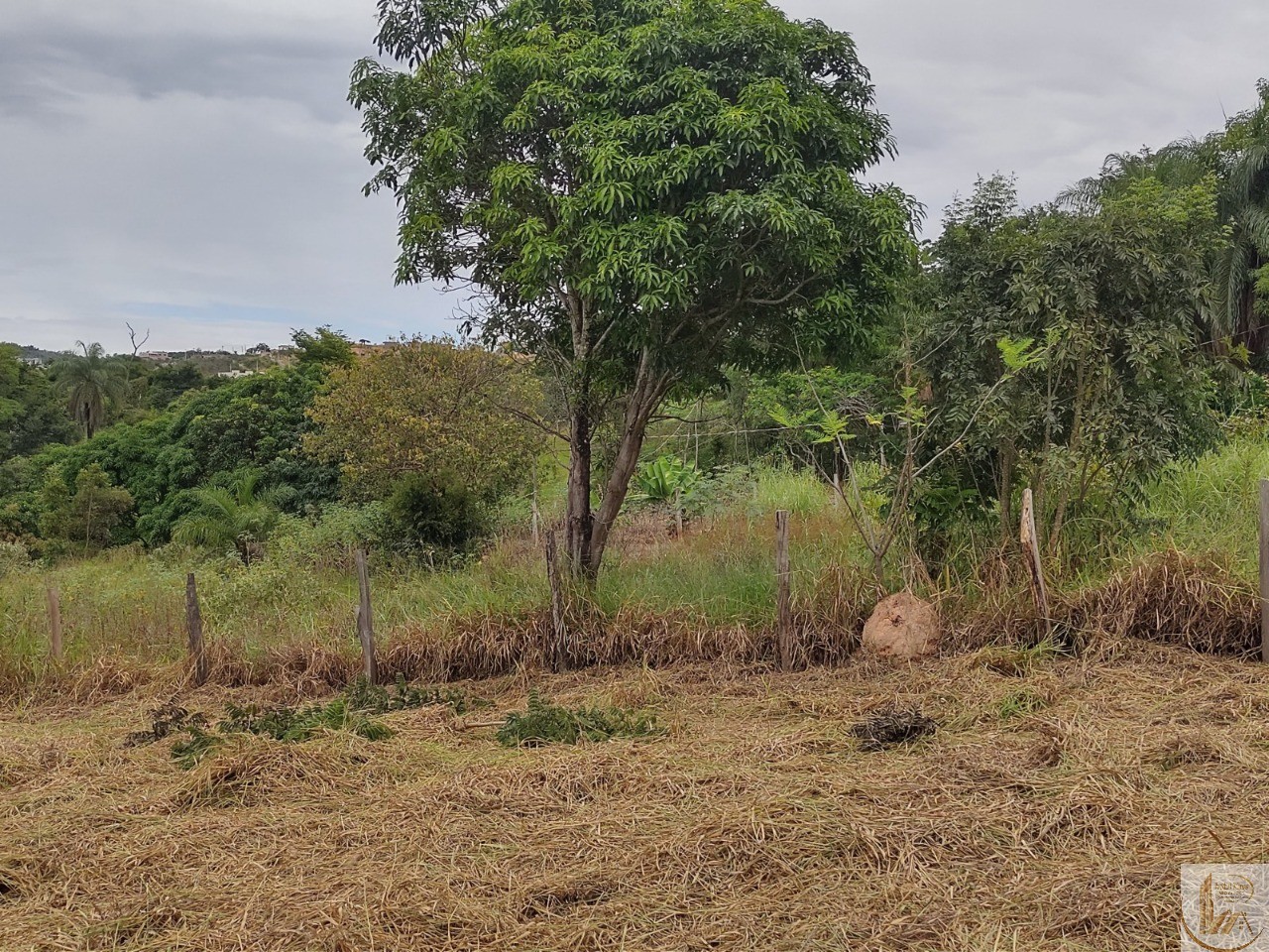 ÁREA DE 7.700 METROS