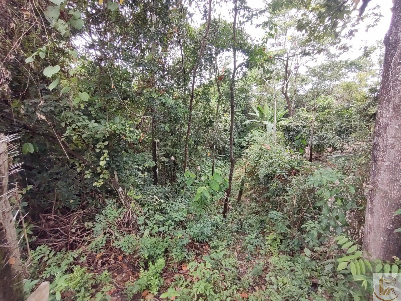 ÁREA DE 7.700 METROS