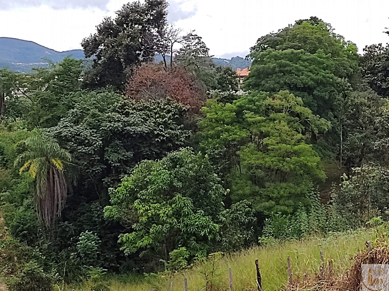 ÁREA DE 7.700 METROS