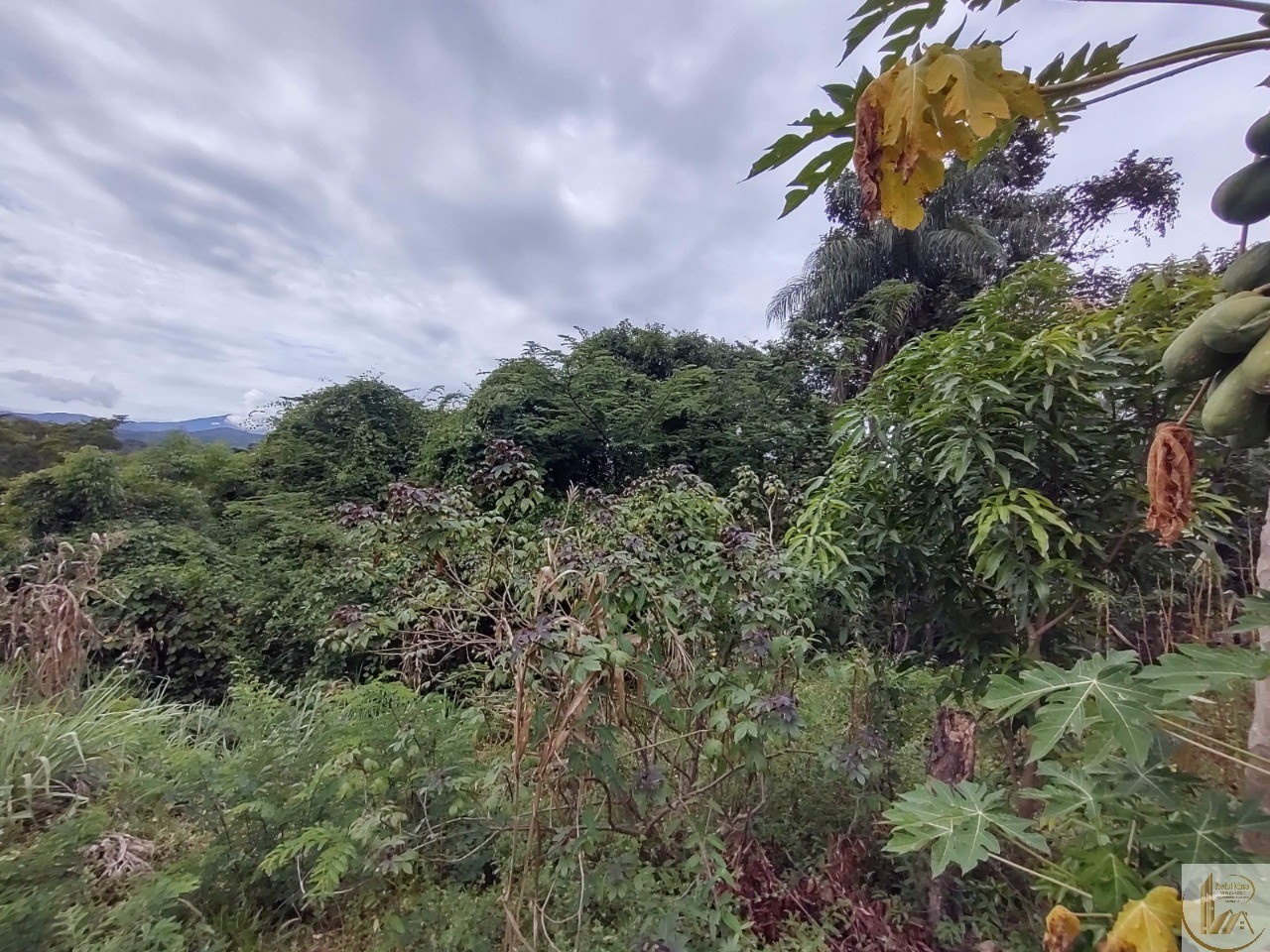 ÁREA DE 7.700 METROS