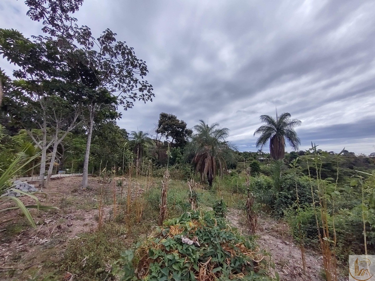 ÁREA DE 7.700 METROS