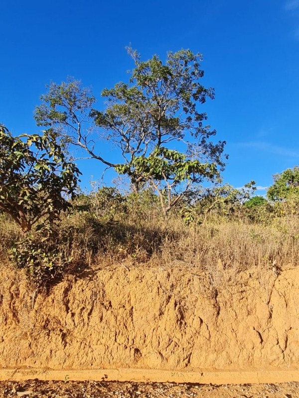 TERRENO À VENDA, 1000 M² POR R$ 120.000,00 - BAIRRO QUINTA DOS ALMEIDAS - JABOTICATUBAS/MG