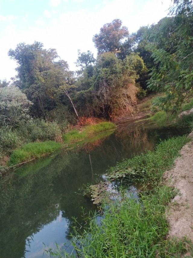 AREA RURAL em PIRACICABA - SP, PAULISTA