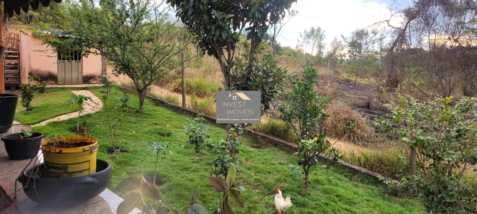 SITIO RURAL em ITATIAIUÇU - MG, Fazenda Vista Alegre