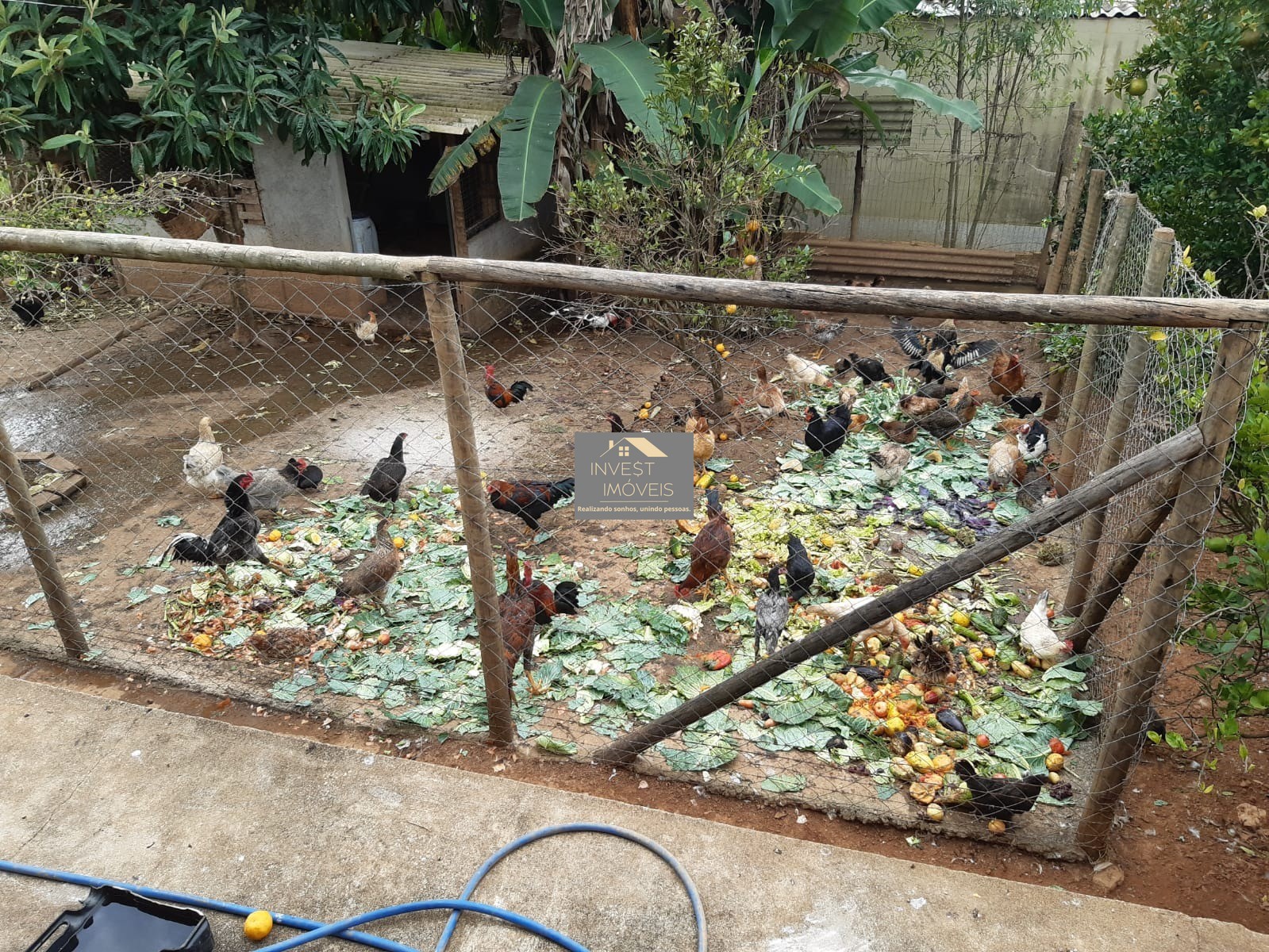 SITIO RURAL em ITATIAIUÇU - MG, Fazenda Vista Alegre
