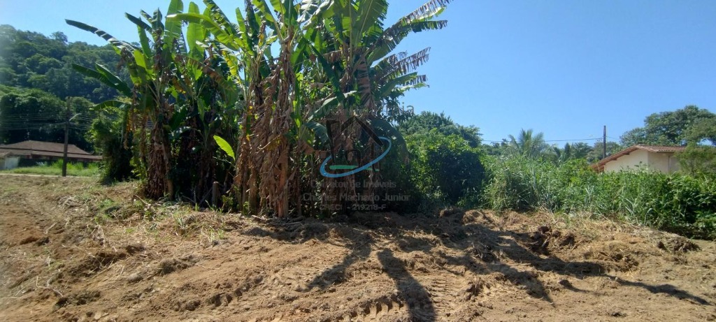 Terreno à venda, 360m² - Foto 4