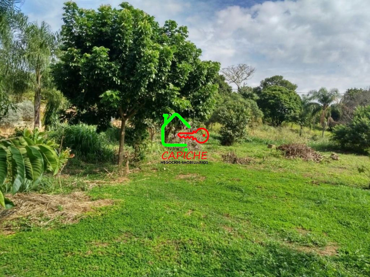 Terreno, 1000 m² - Foto 6