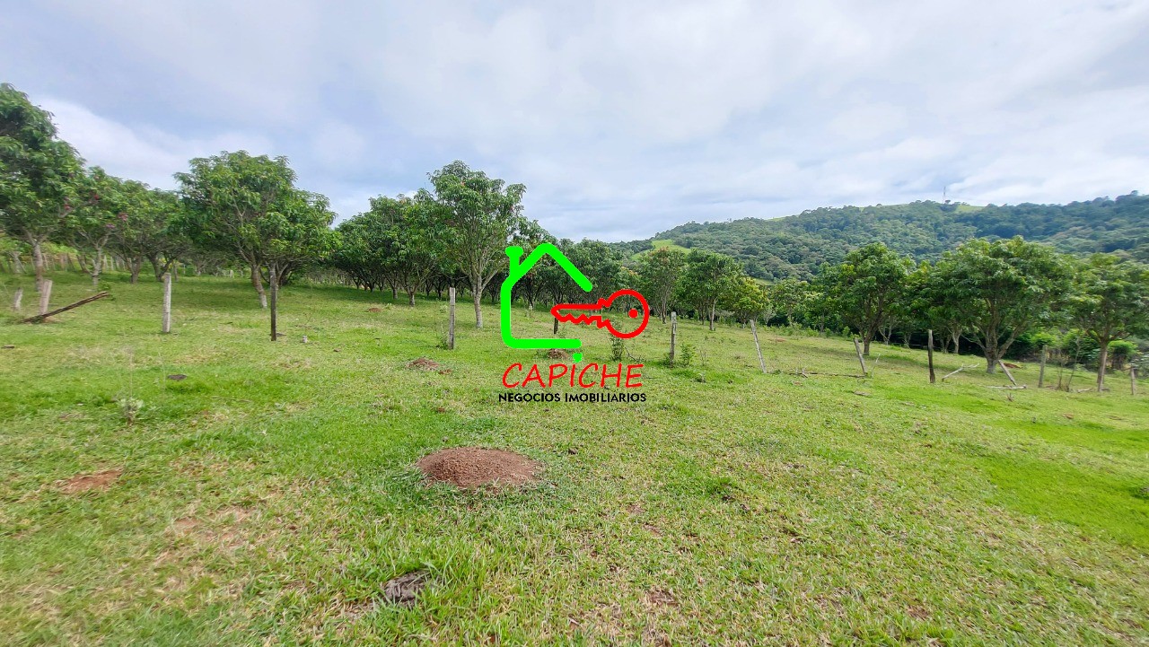 Sítio, 3 quartos - Foto 24