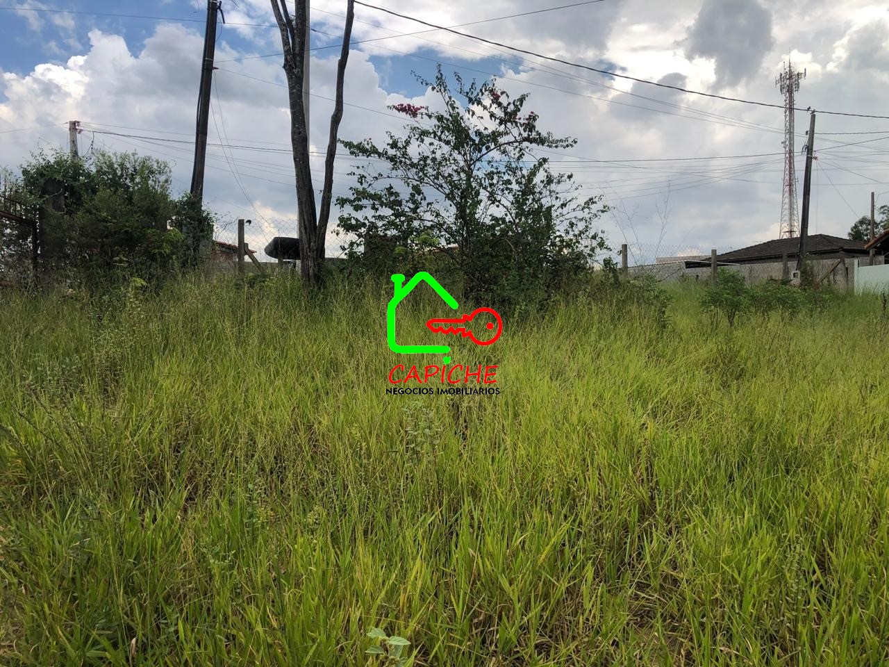 Terreno, 6100 m² - Foto 7