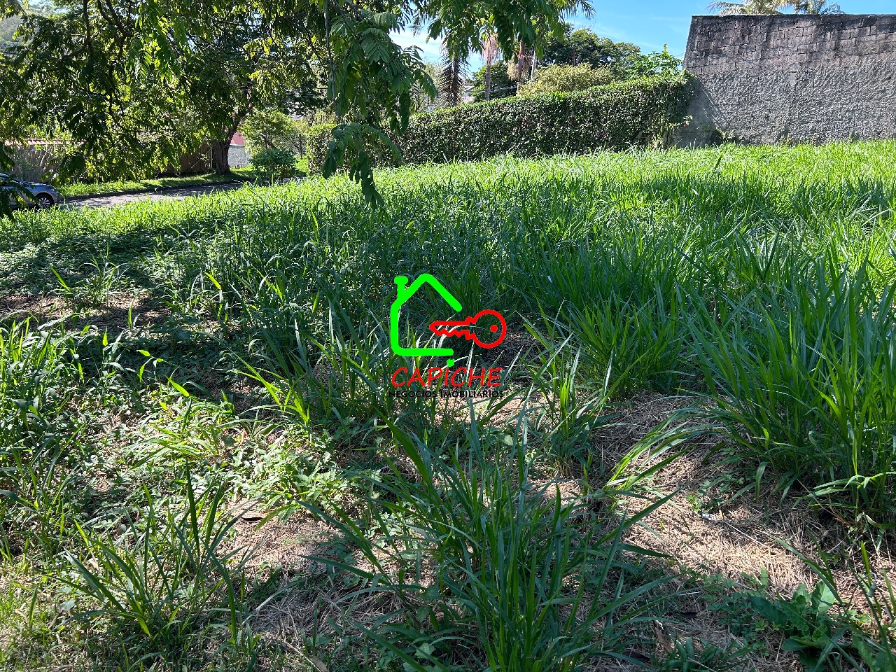 Terreno, 1000 m² - Foto 4