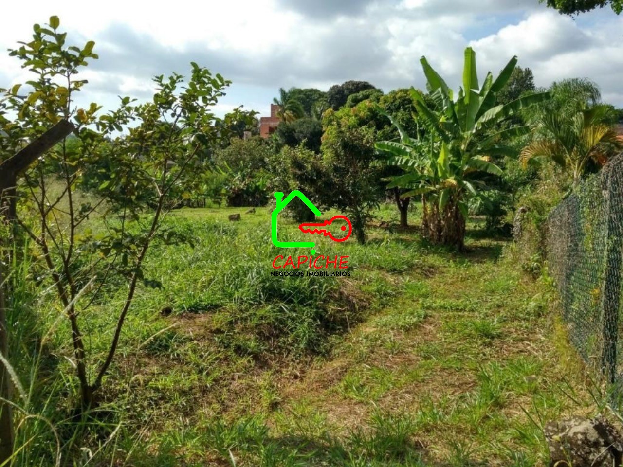 Terreno, 1000 m² - Foto 5