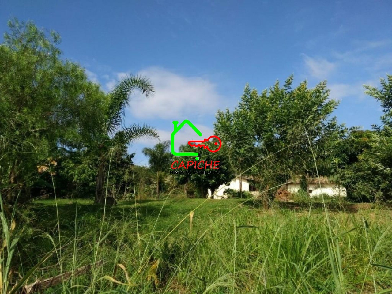 Terreno, 1000 m² - Foto 4