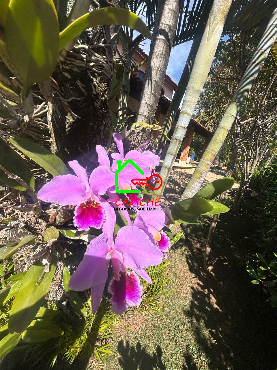 Casa de Condomínio, 4 quartos - Foto 40