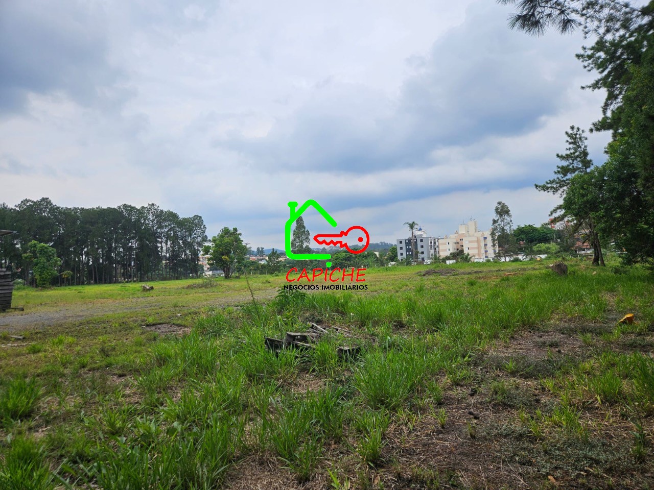 Depósito-Galpão - Foto 3