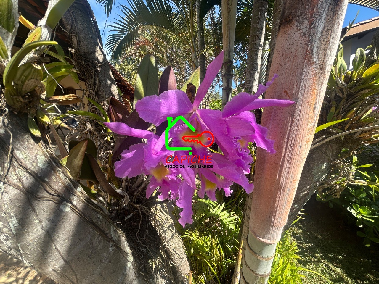 Casa de Condomínio, 4 quartos - Foto 39