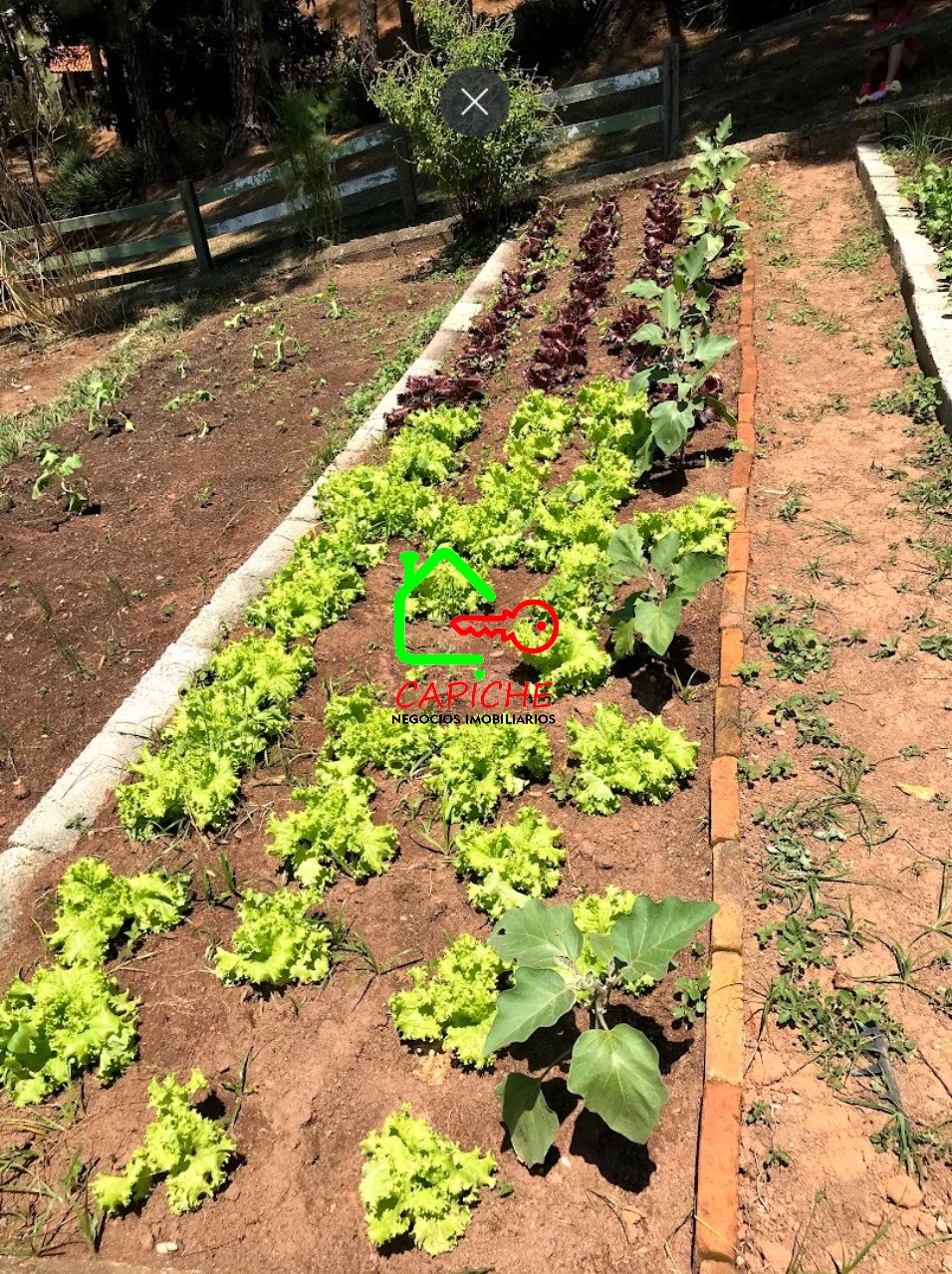 Casa de Condomínio, 4 quartos - Foto 9