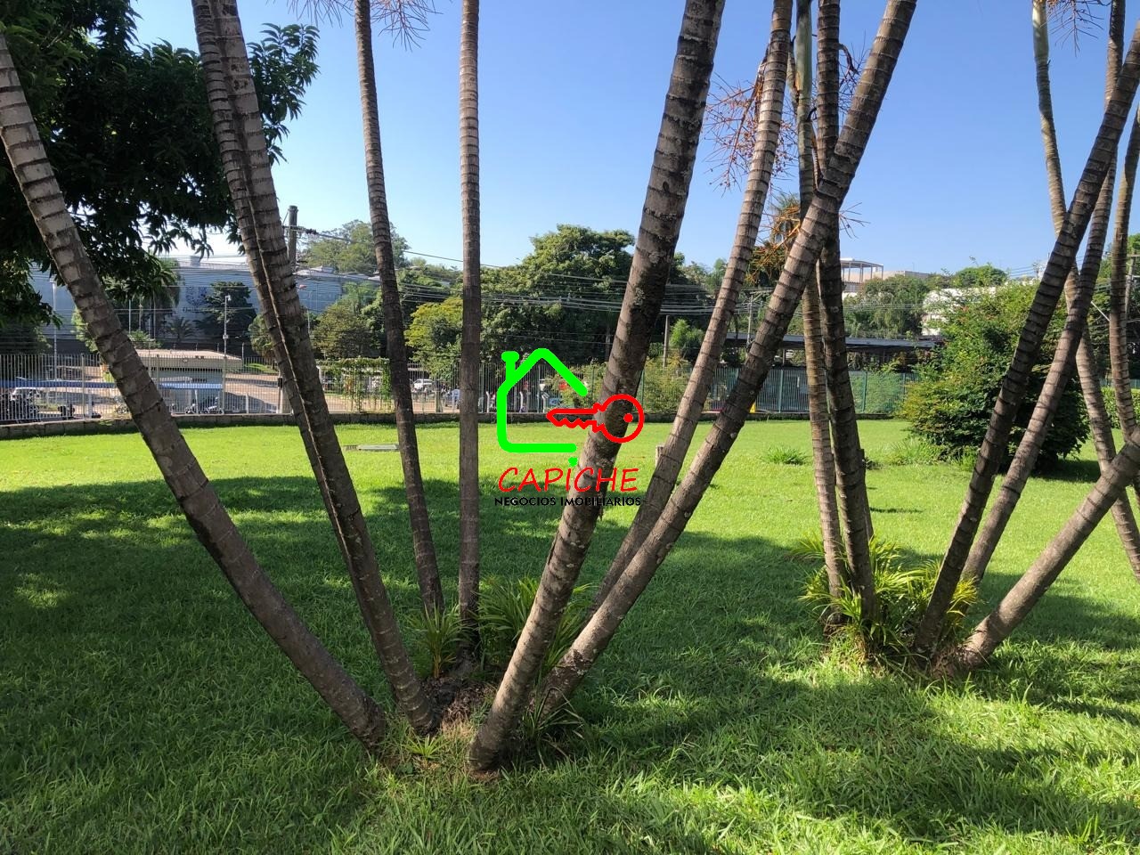 Depósito-Galpão - Foto 31