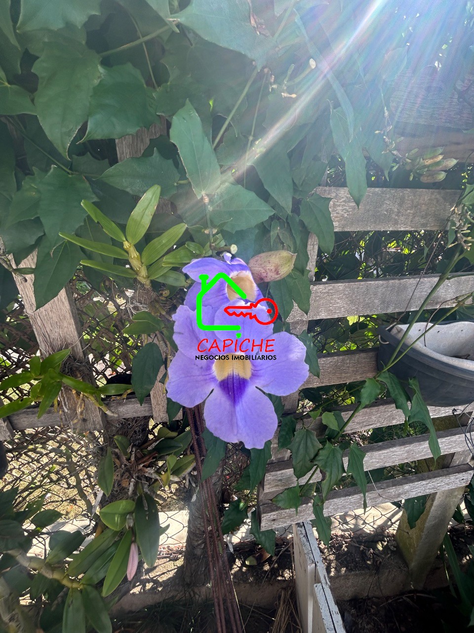 Casa de Condomínio, 4 quartos - Foto 43