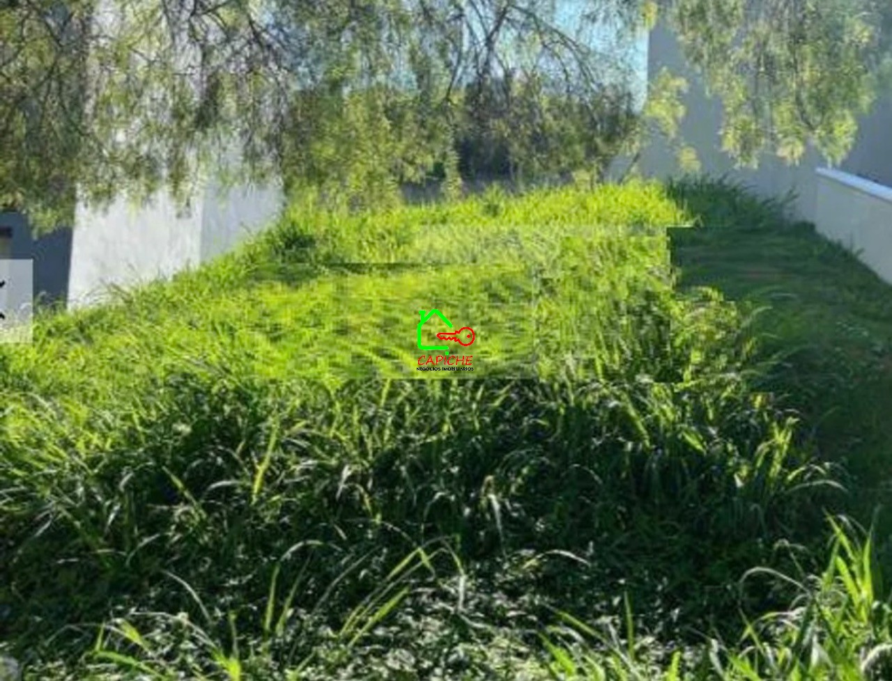 Terreno, 250 m² - Foto 4