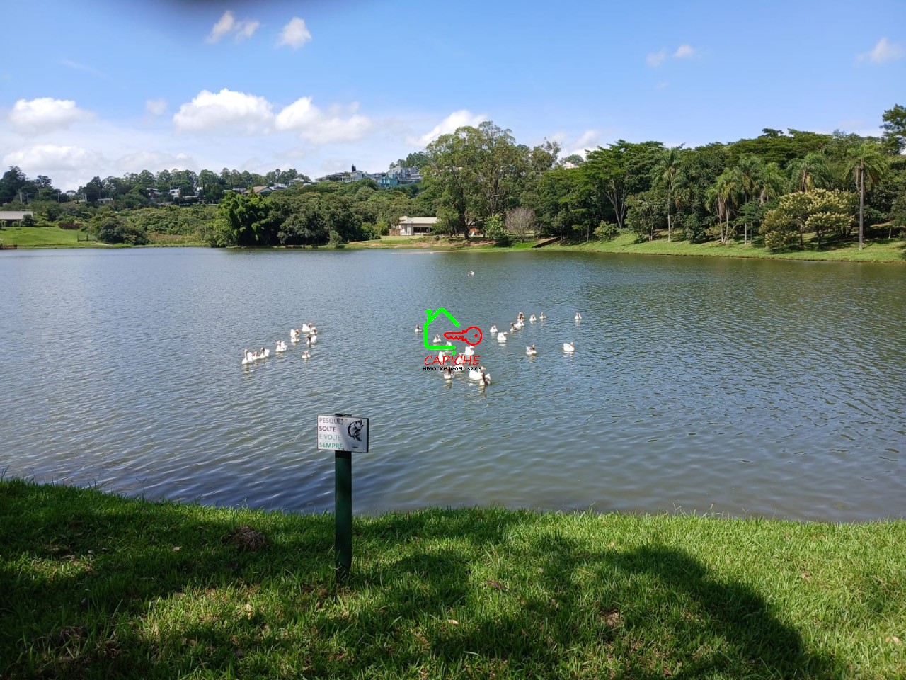 Terreno, 854 m² - Foto 6