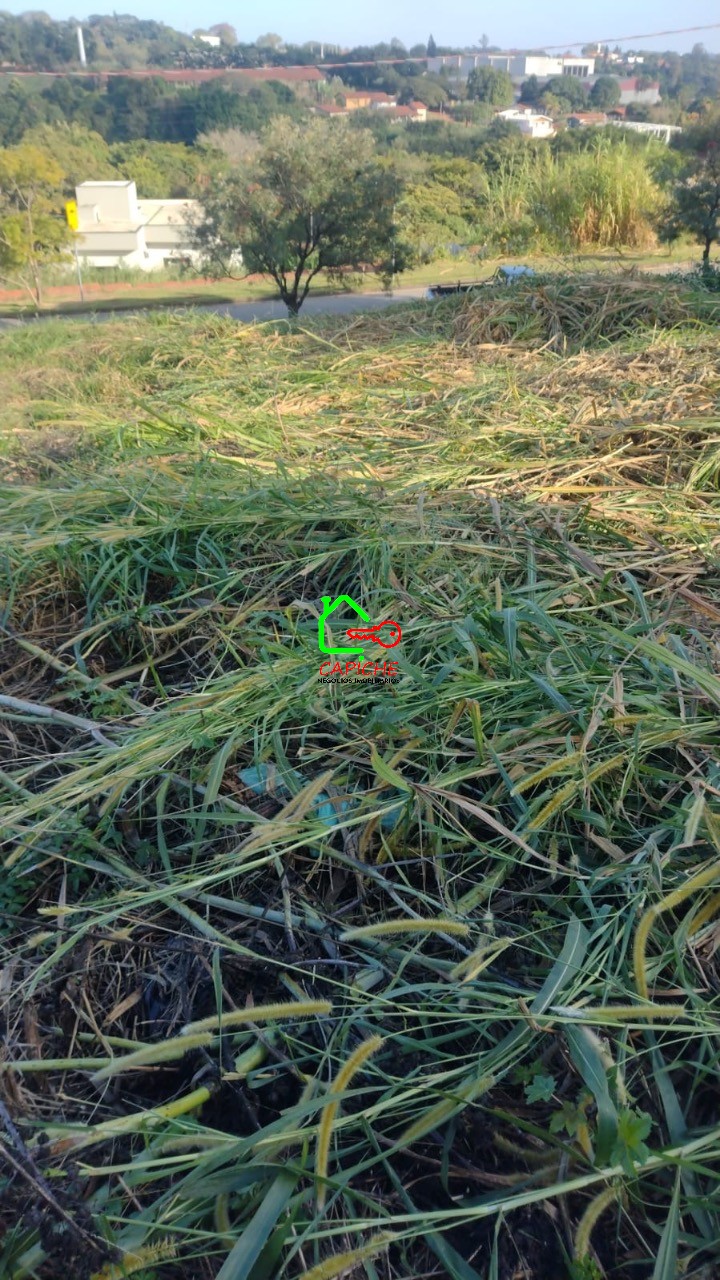 Terreno à venda, 250m² - Foto 5