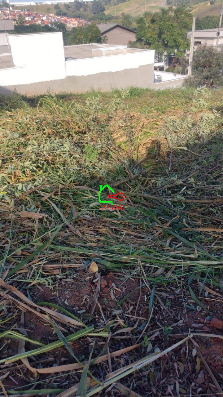 Terreno à venda, 250m² - Foto 4
