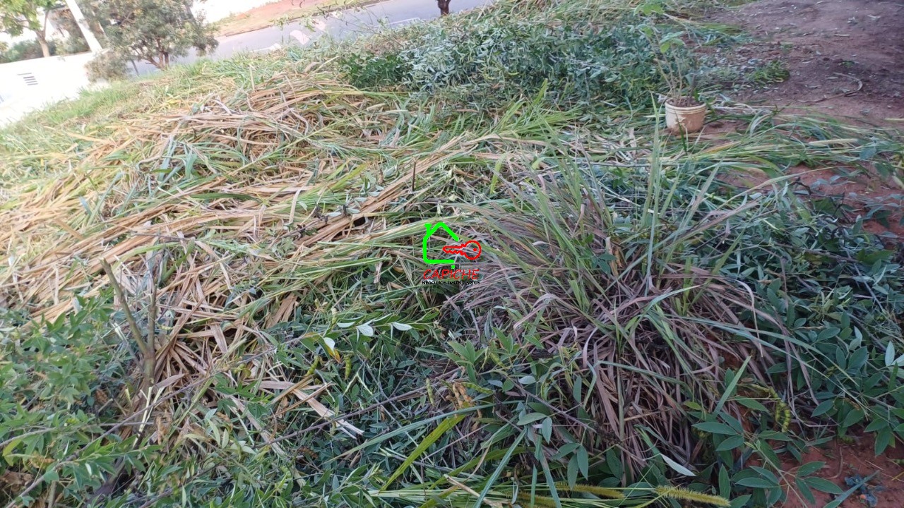 Terreno à venda, 250m² - Foto 6