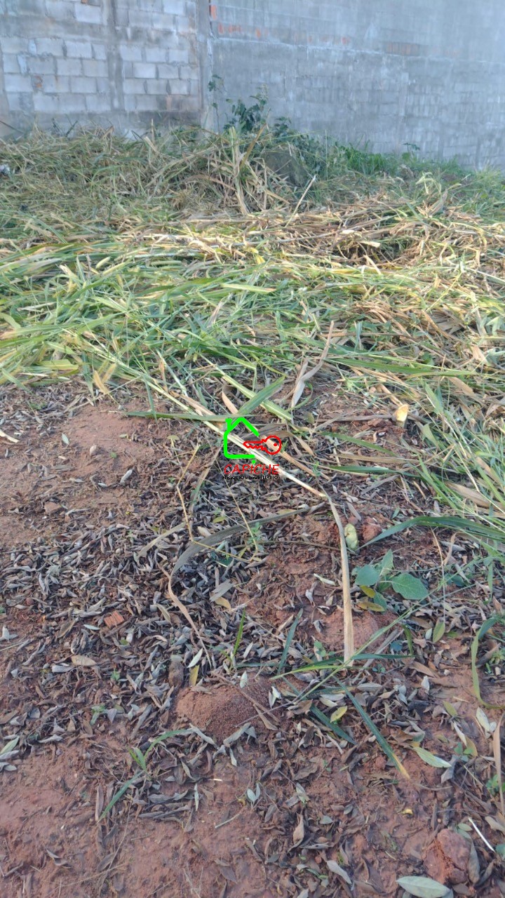Terreno à venda, 250m² - Foto 3