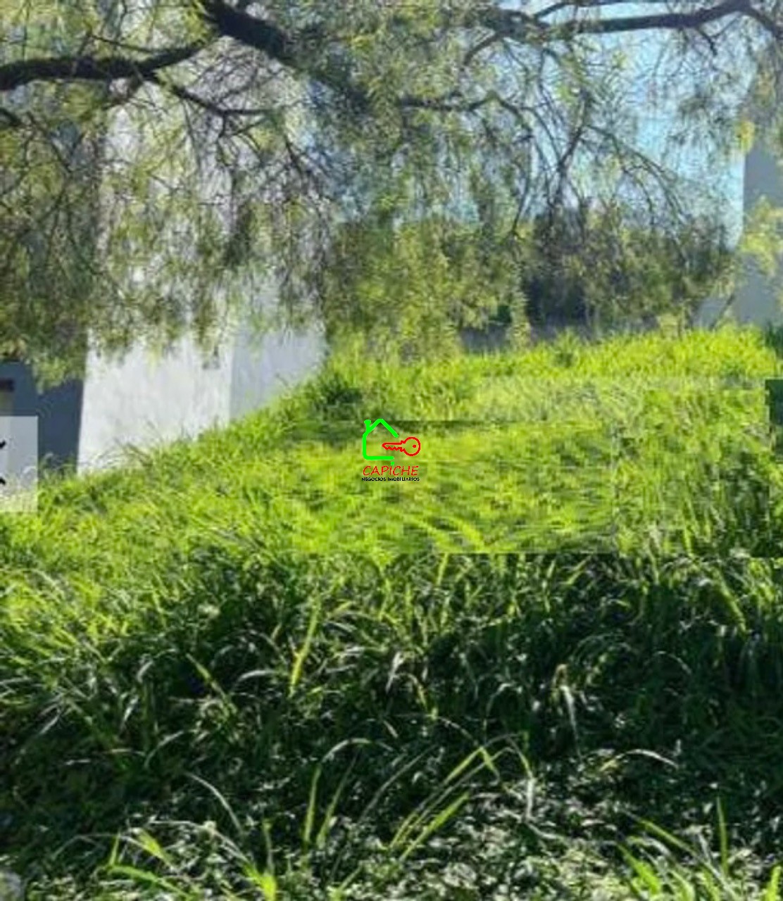 Terreno, 250 m² - Foto 1