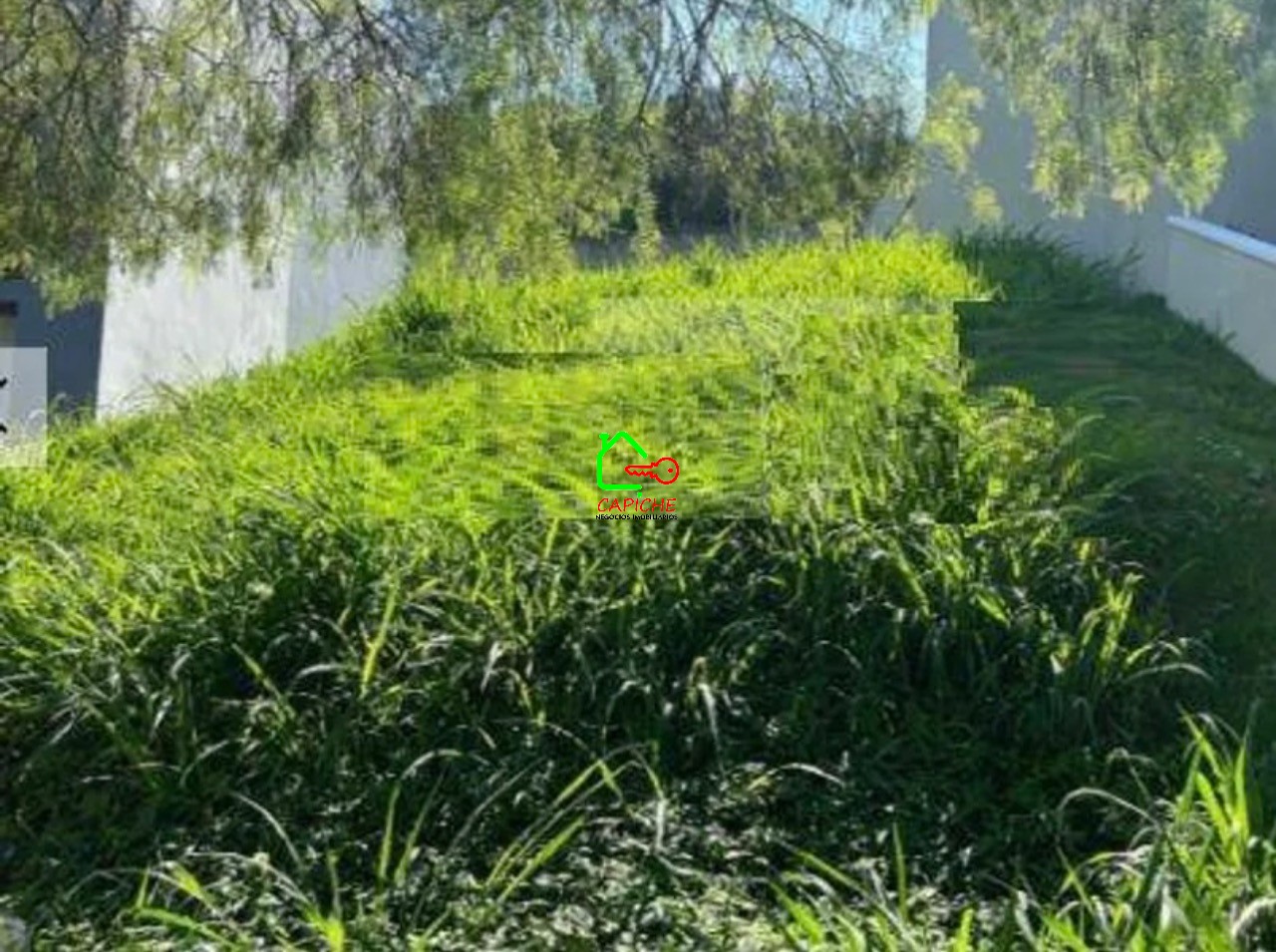 Terreno, 250 m² - Foto 2