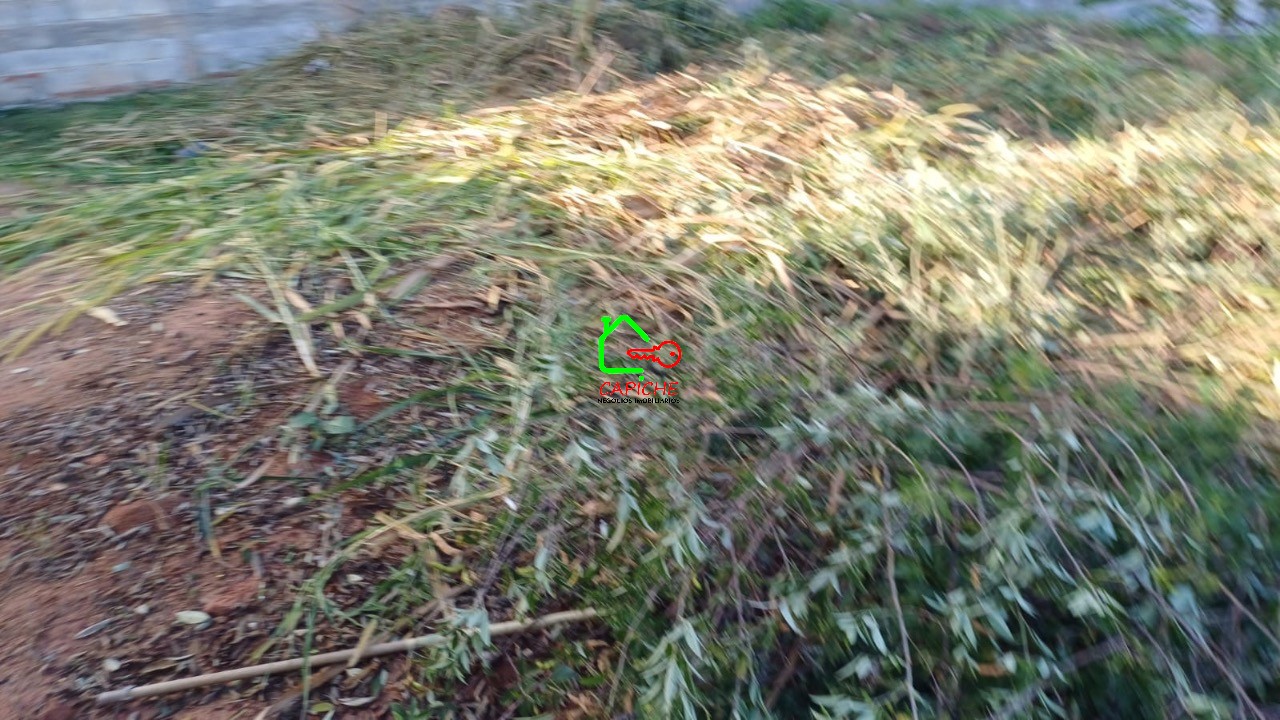 Terreno à venda, 250m² - Foto 7