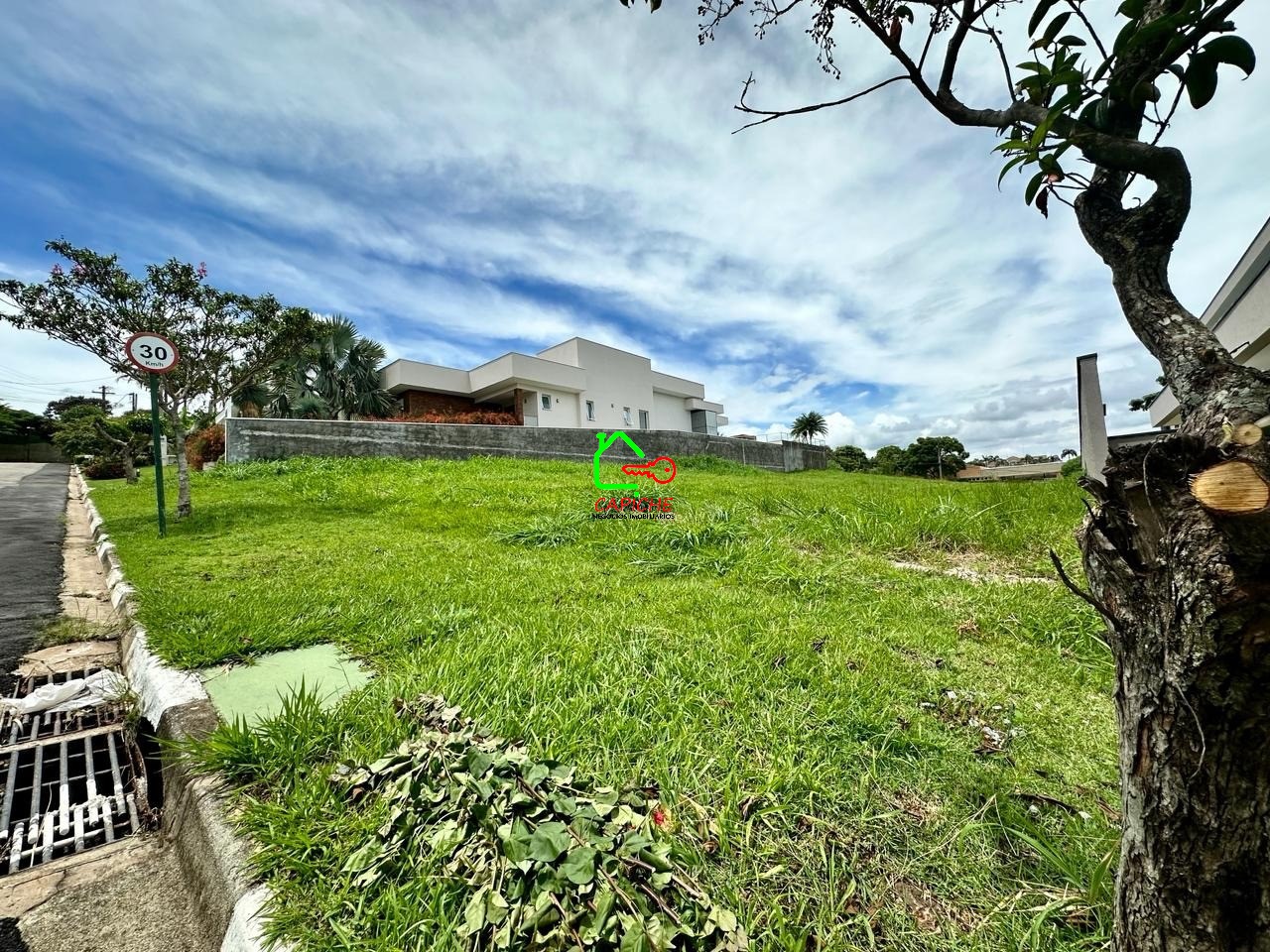 Terreno, 10000 m² - Foto 3