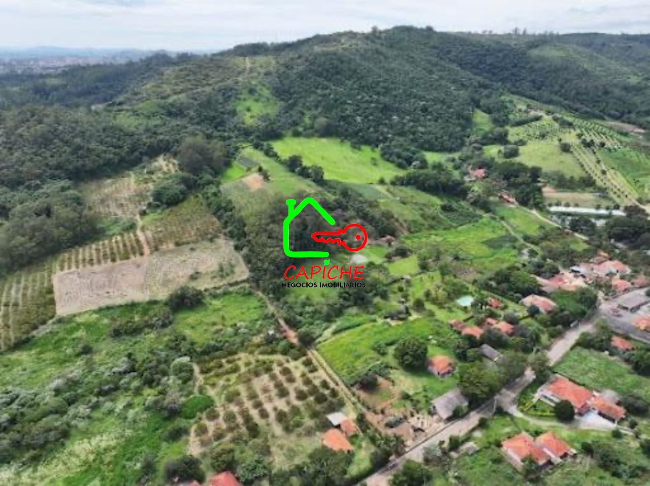 Terreno, 8 hectares - Foto 4