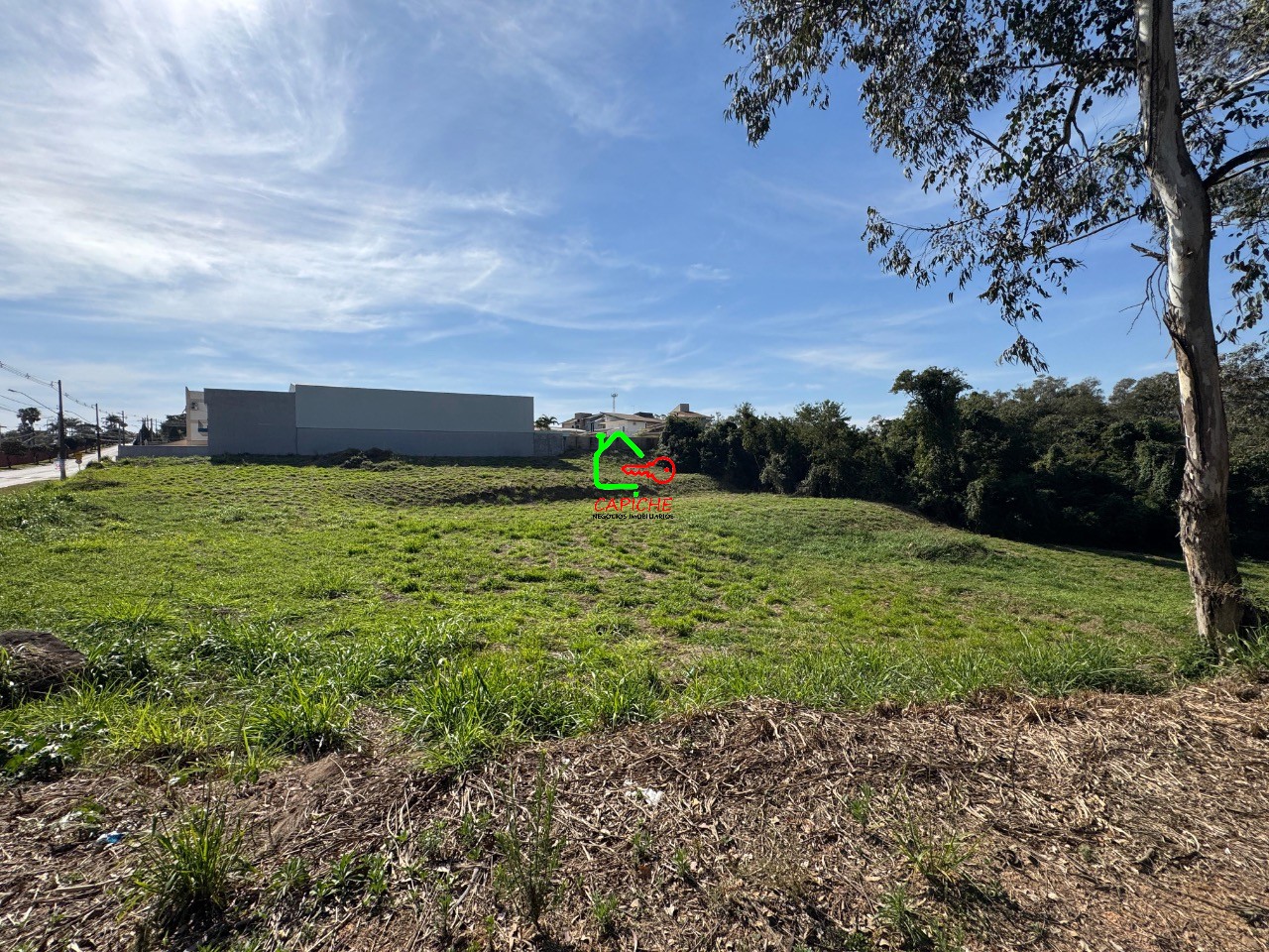 Loteamento e Condomínio, 10000 m² - Foto 6