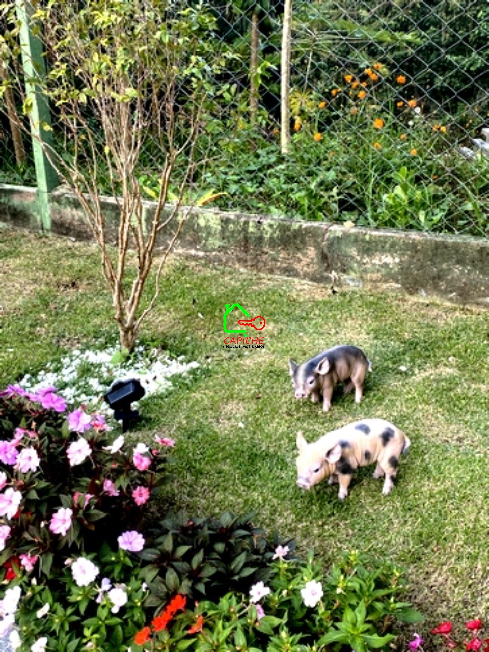 Casa de Condomínio, 3 quartos - Foto 38