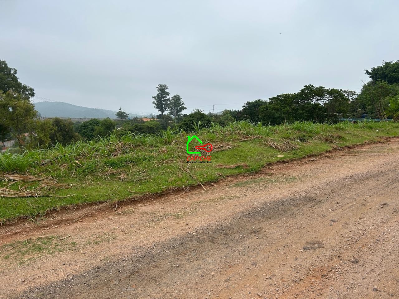 Terreno, 9847 m² - Foto 4