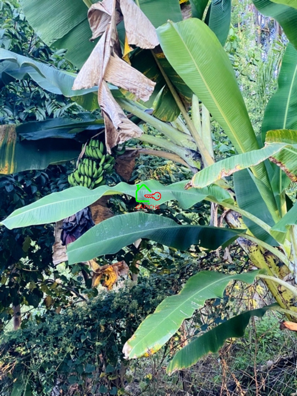 Casa de Condomínio, 3 quartos - Foto 55