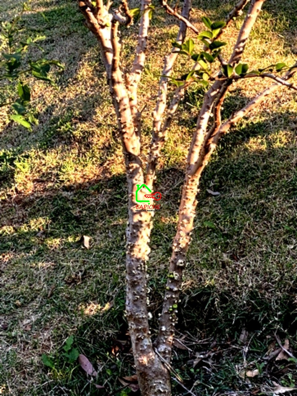 Casa de Condomínio, 3 quartos - Foto 36