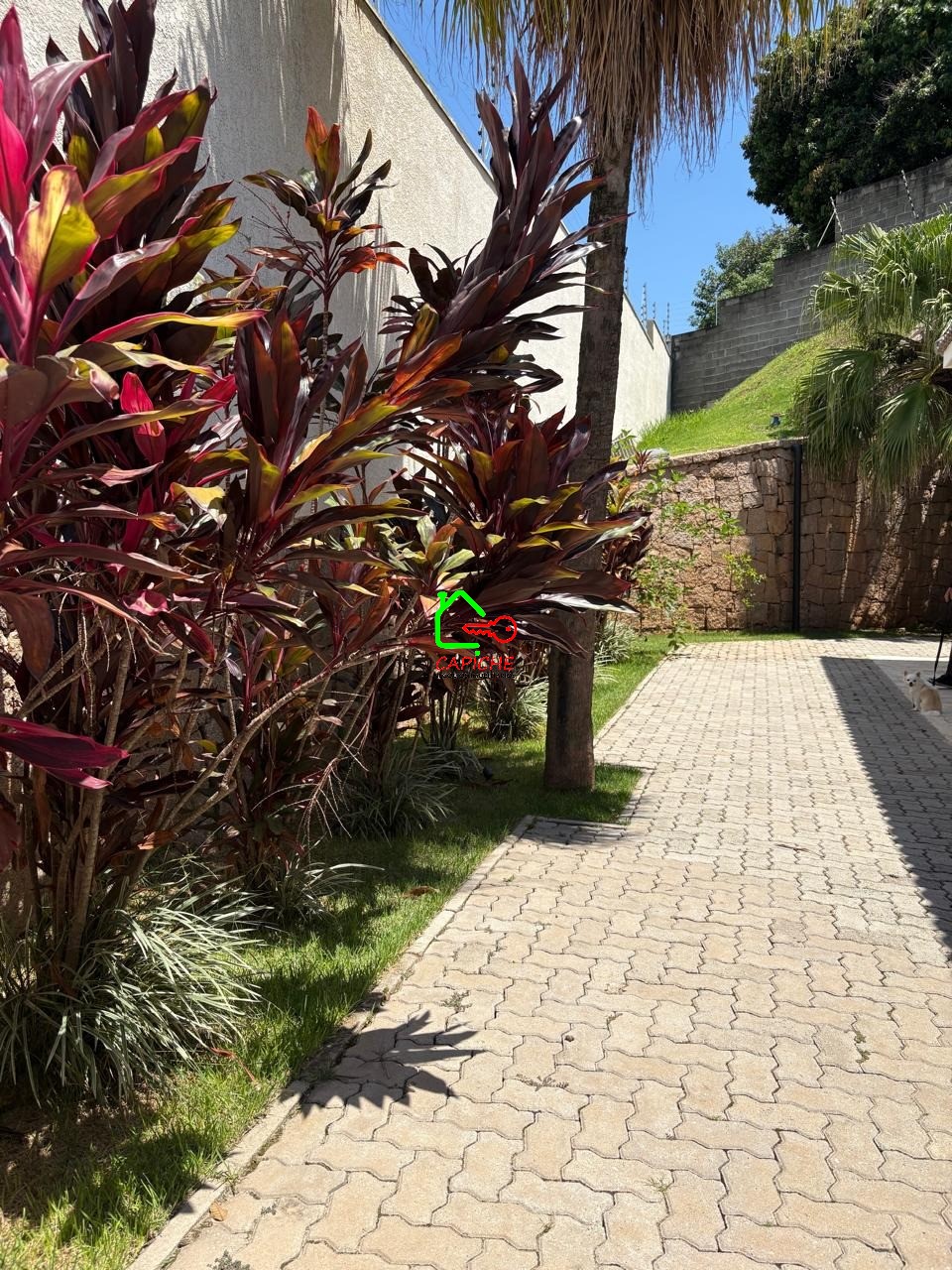 Casa de Condomínio, 3 quartos - Foto 30