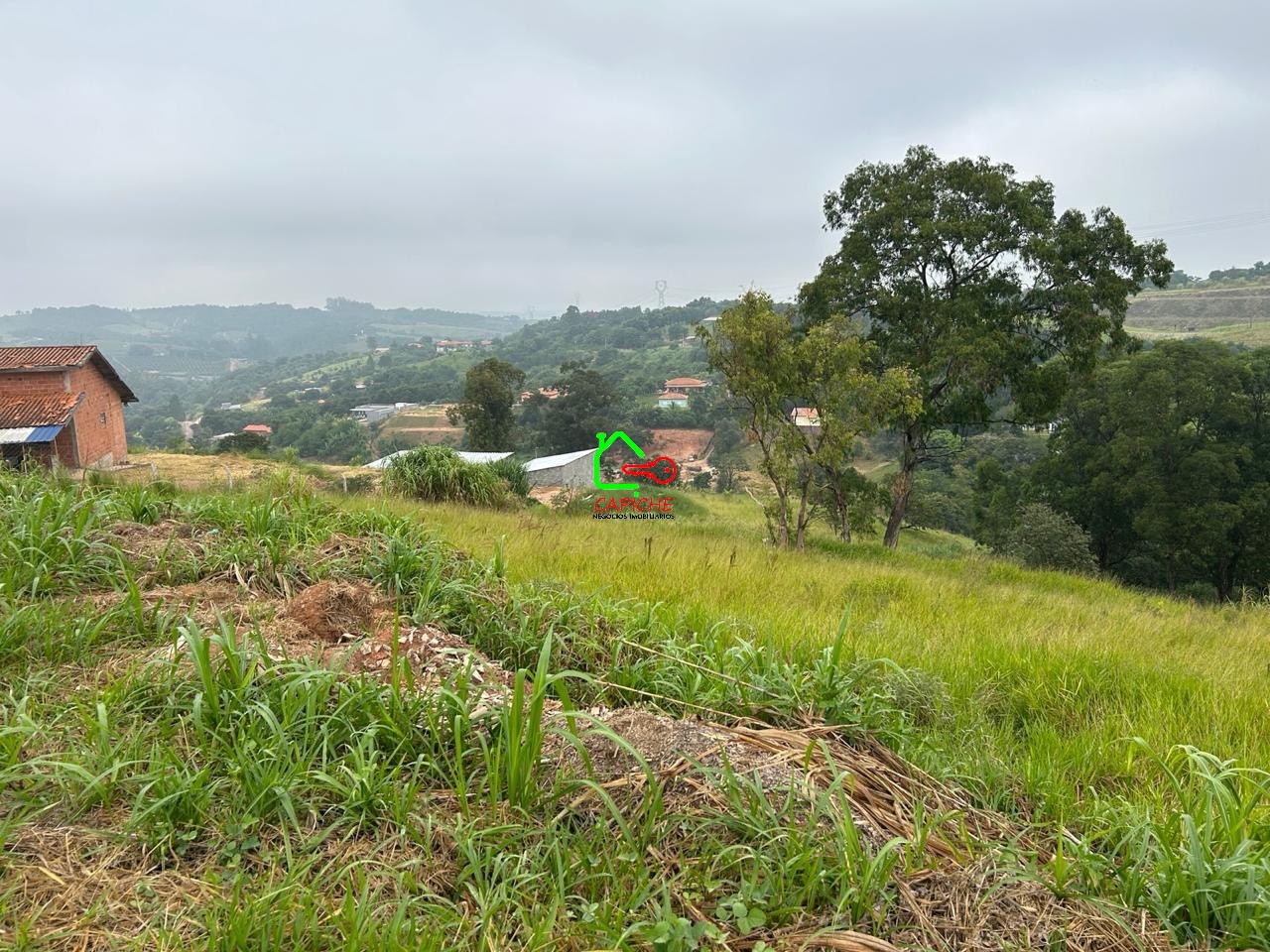 Terreno, 9847 m² - Foto 8