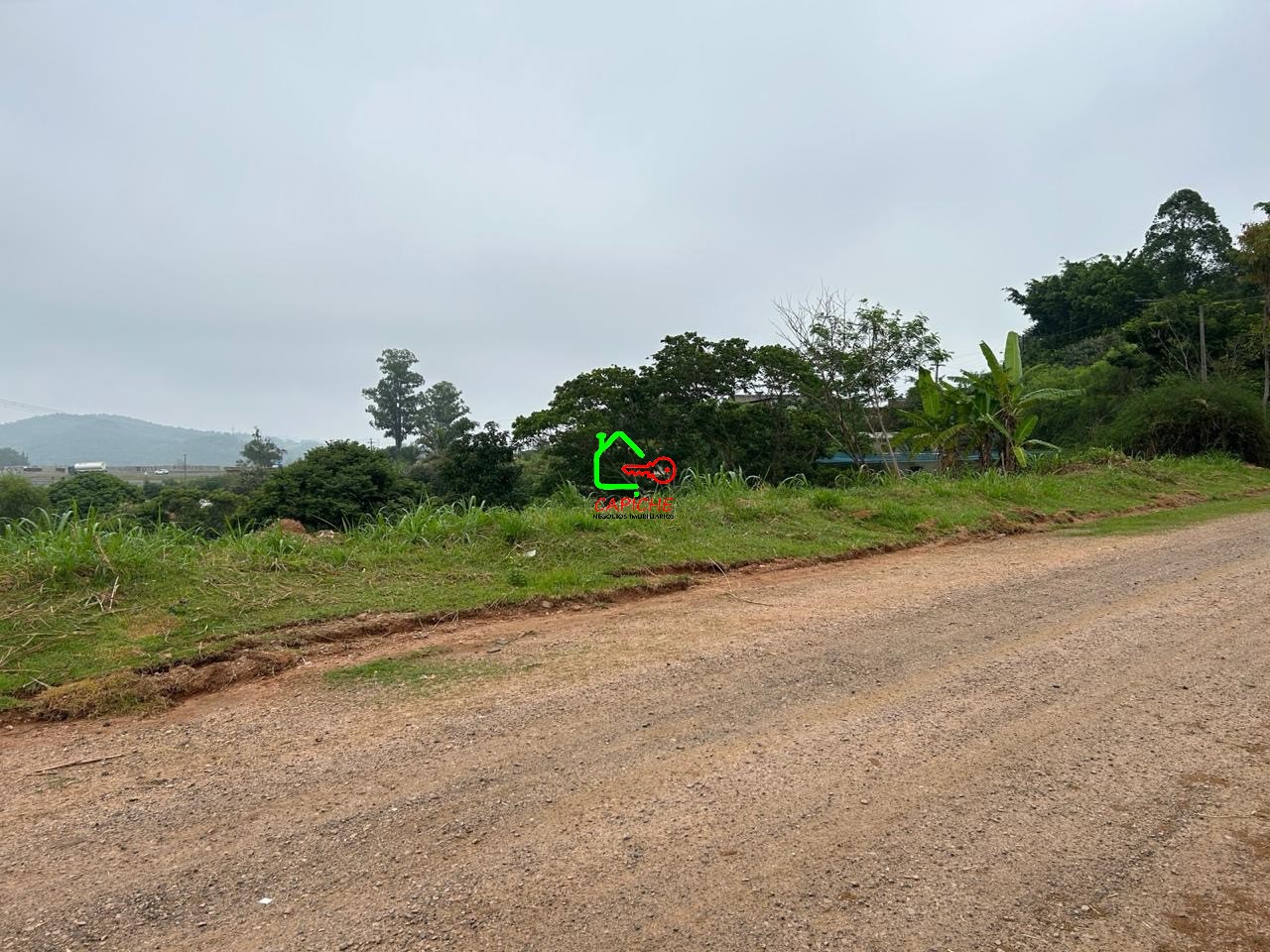 Terreno, 9847 m² - Foto 5