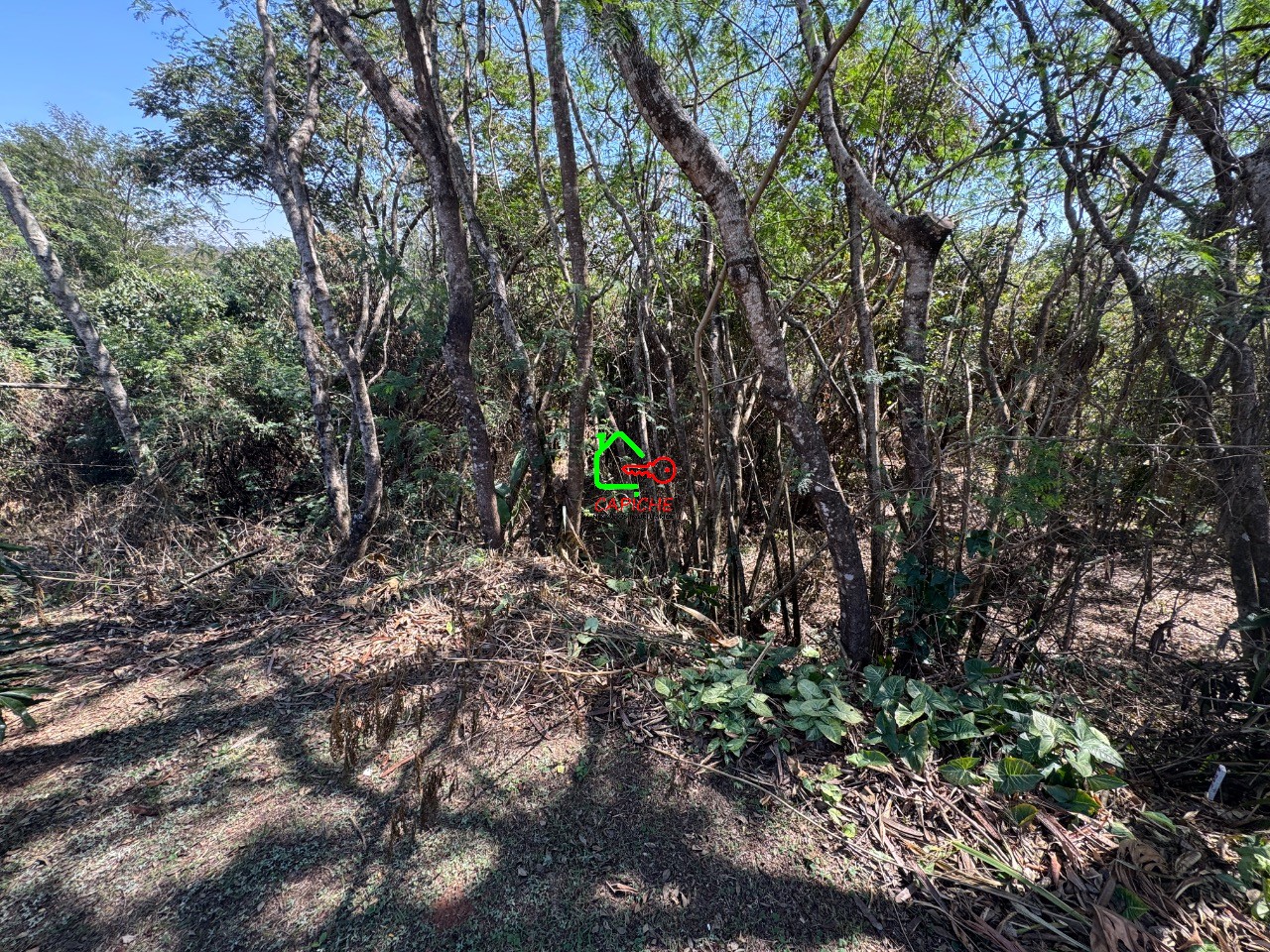 Terreno, 1026 m² - Foto 3