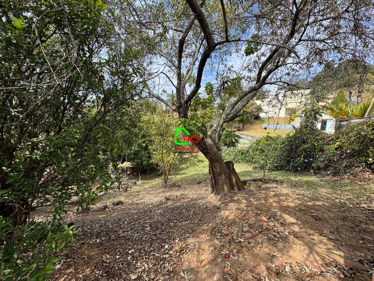 Terreno, 1157 m² - Foto 3