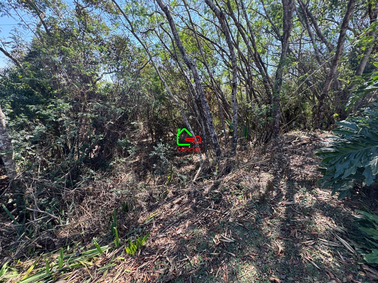 Terreno, 1026 m² - Foto 4