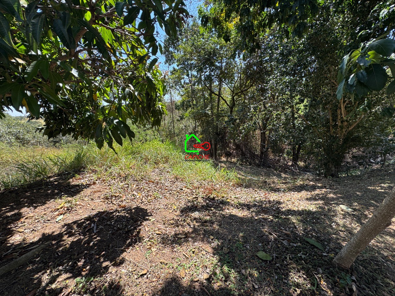 Terreno, 1026 m² - Foto 9