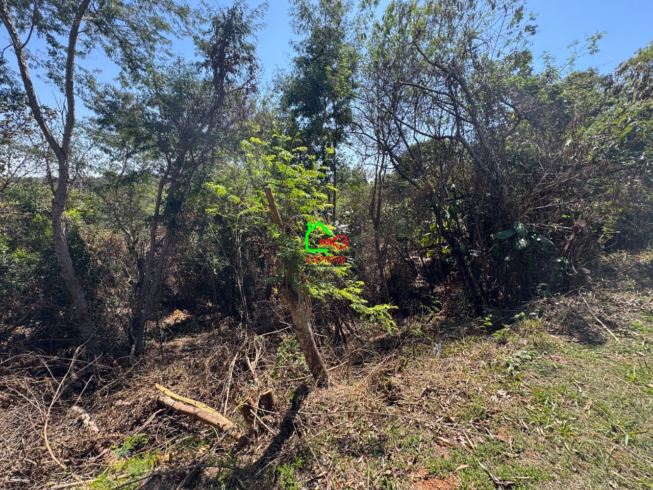 Terreno, 1026 m² - Foto 8